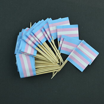 Transgender-Cocktailflagge auf Holzstab