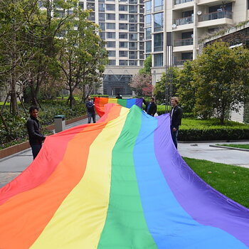 Pride-Parade-Flagge aus Stoff 3 x 10 m