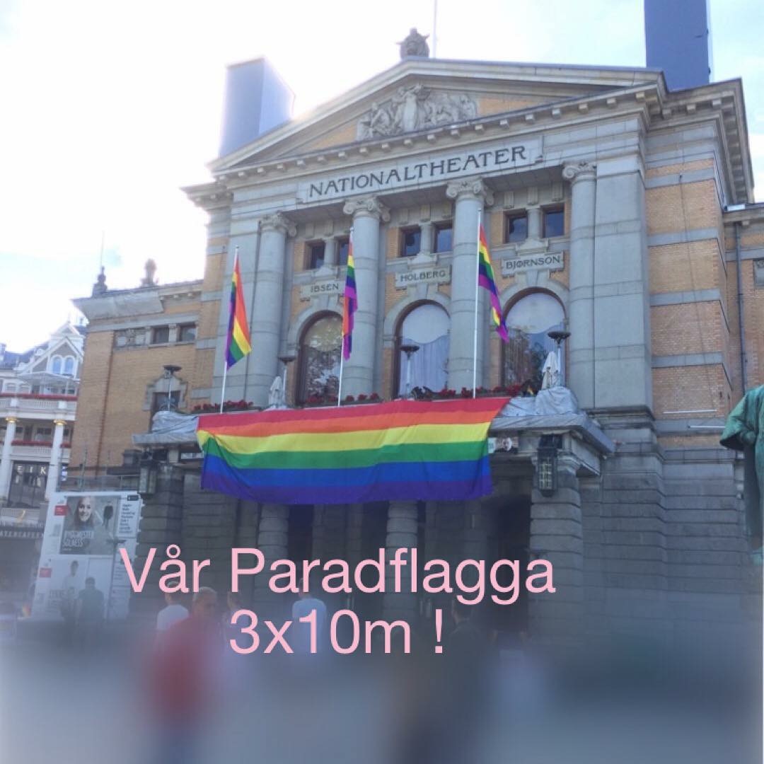 Pride-Parade-Flagge aus Stoff 3 x 10 m - 7