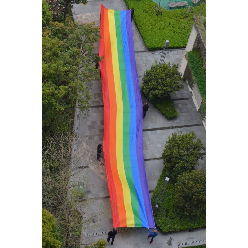 Pride-Parade-Flagge aus Stoff 3 x 10 m - 4