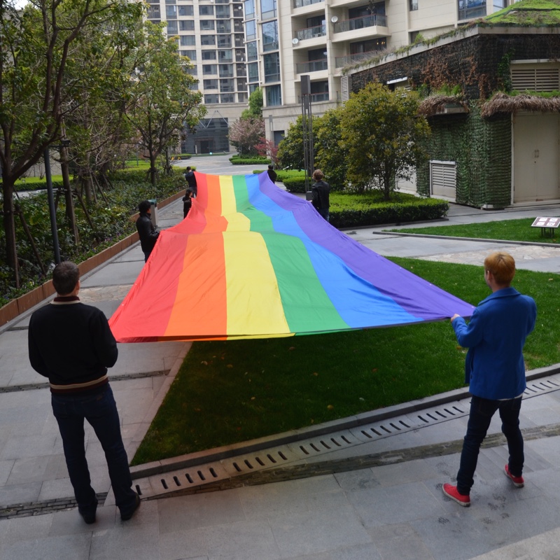 Pride-Parade-Flagge aus Stoff 3 x 10 m - 5