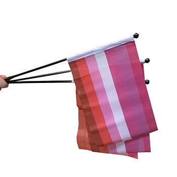 Lesbian flag on a stick mini 