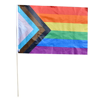Progress pride hand flagge - Medium