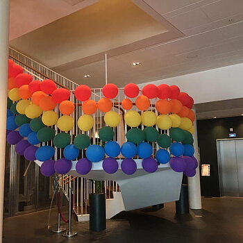 Pride färgade ballonger 24-pack