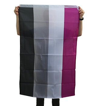 Asexual Flag  XL Party