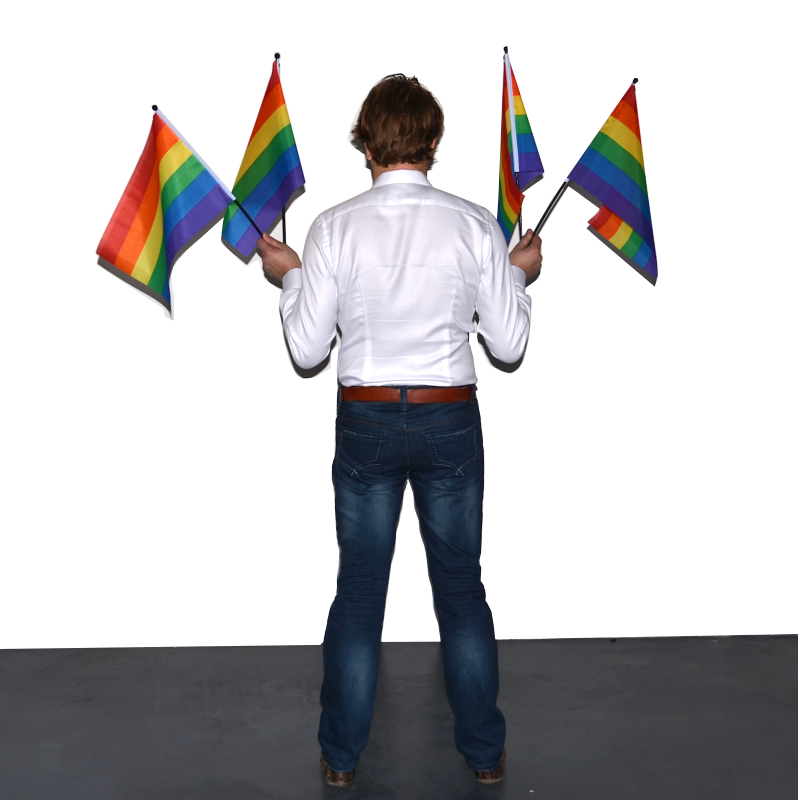 Pride/Regenbogenfahne am Stiel – klein (mehr kaufen, weniger bezahlen) - 2