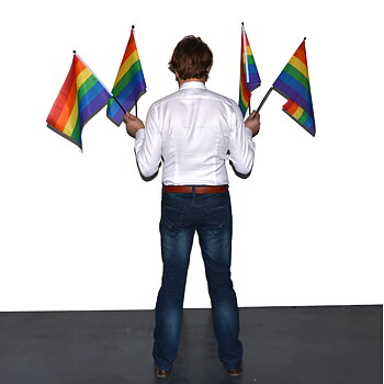Pride/Regenbogenfahne am Stiel – klein (mehr kaufen, weniger bezahlen)