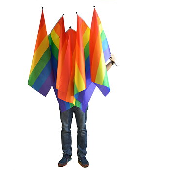 Regenbogenfahne am Stab - Groß 