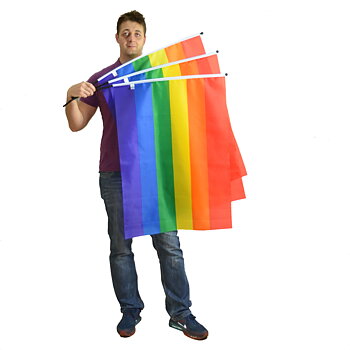 Regenbogenfahne am Stab - Groß 