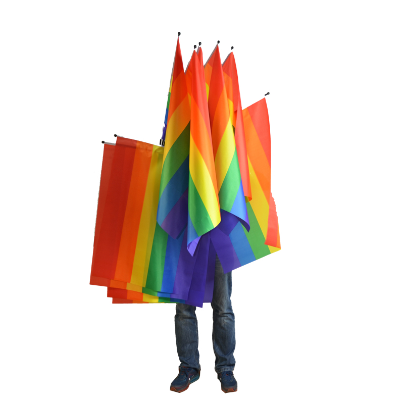 Regenbogenfahne am Stab - Groß  - 3