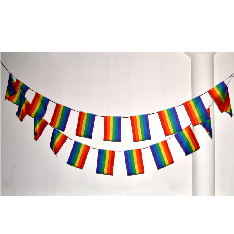 Pride flag bunting  (9,9m) - 2