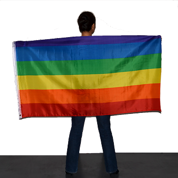 Pride Flag  XL Party