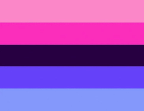 Omnisexuelle XL-party-Flagge