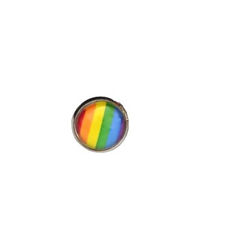 Runde Pride Ohrringe