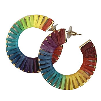 Round  rainbow earrings 