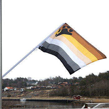 Björn-fasadflagga 45 x 75 cm med plaststång ca 1m 