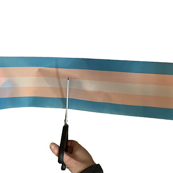 Einladungsband trans 14cm x 8m