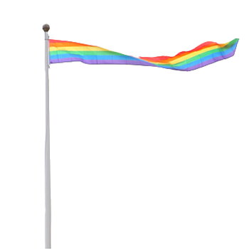 Pride Wimpel in Stoff 40x350cm mit D-ögla