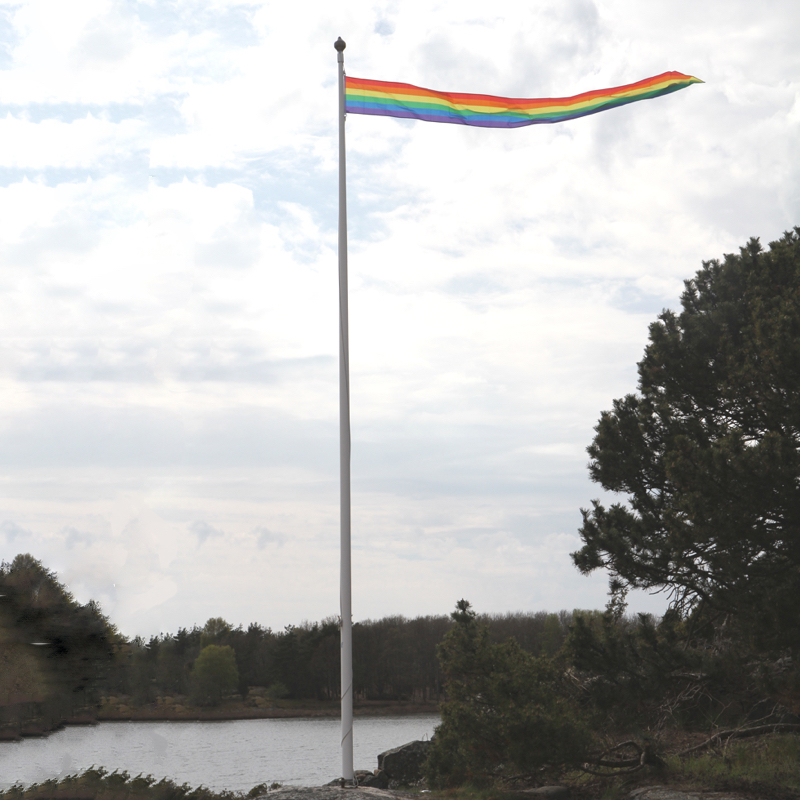 Pridevimpel i tyg 40x450cm med D-ögla - 2