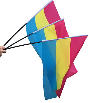 Pan-Flagge auf einem Stock - Medium