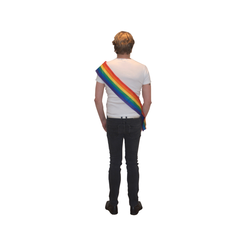 Orden des Ordens pride-Farben 14 cm x 1.8m  - 2