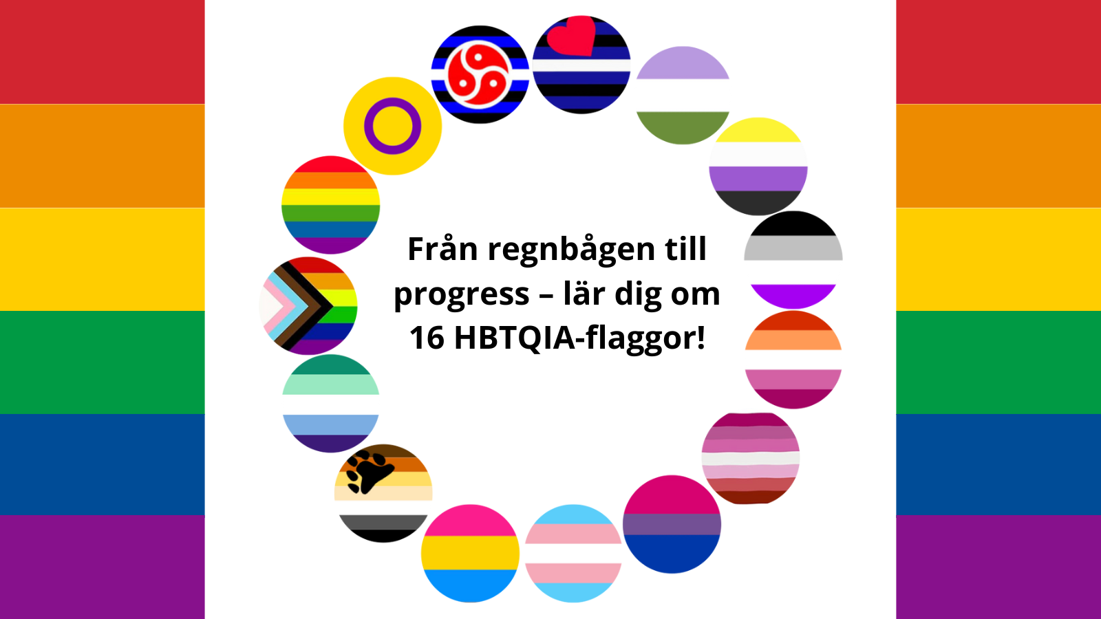 Från regnbågen till progress – lär dig om 16 HBTQIA-flaggor!