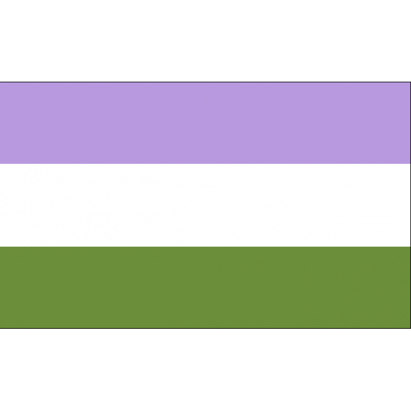 Gender Queer Fahnen