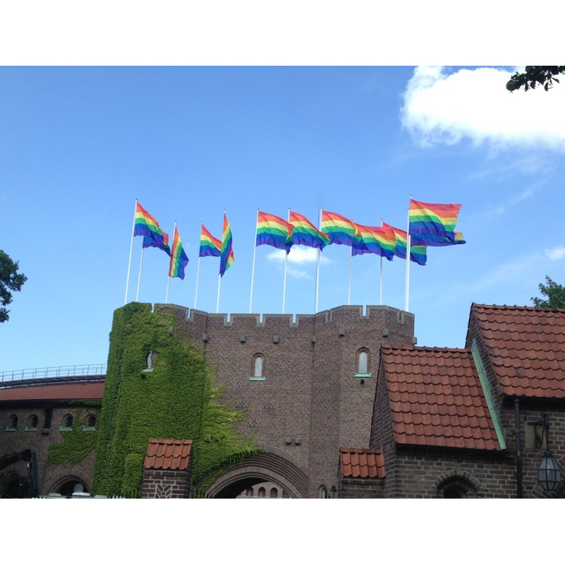 Flaggstångsflaggor