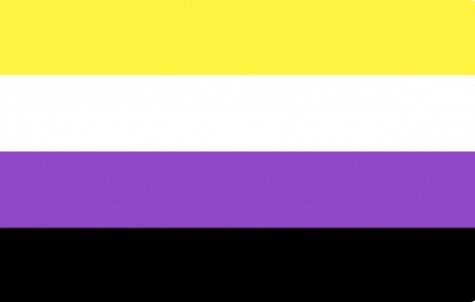 Nichtbinär flag