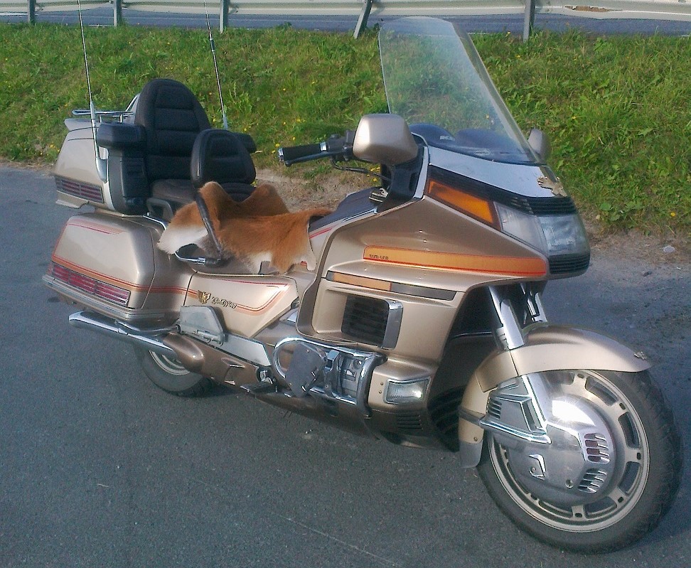 RESERVDELAR Honda GL1500 1988-2000 - 2