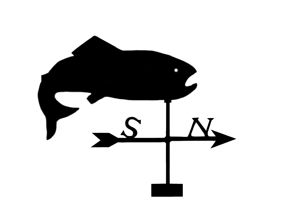 Vindflöjel Ädelfisk