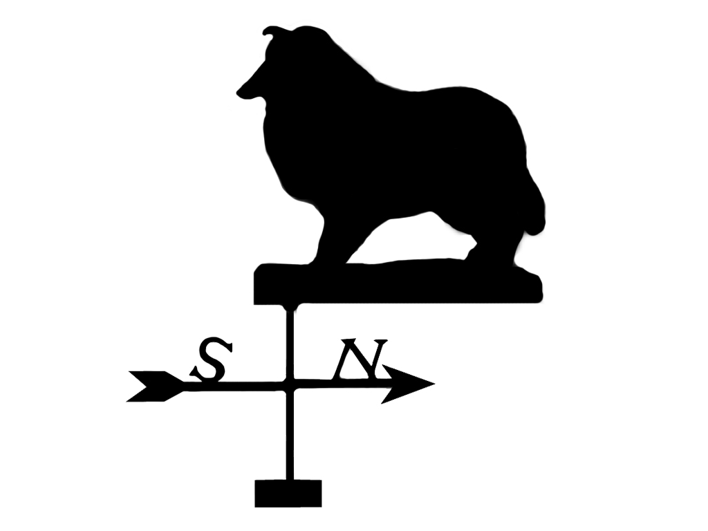 Vindflöjel Collie