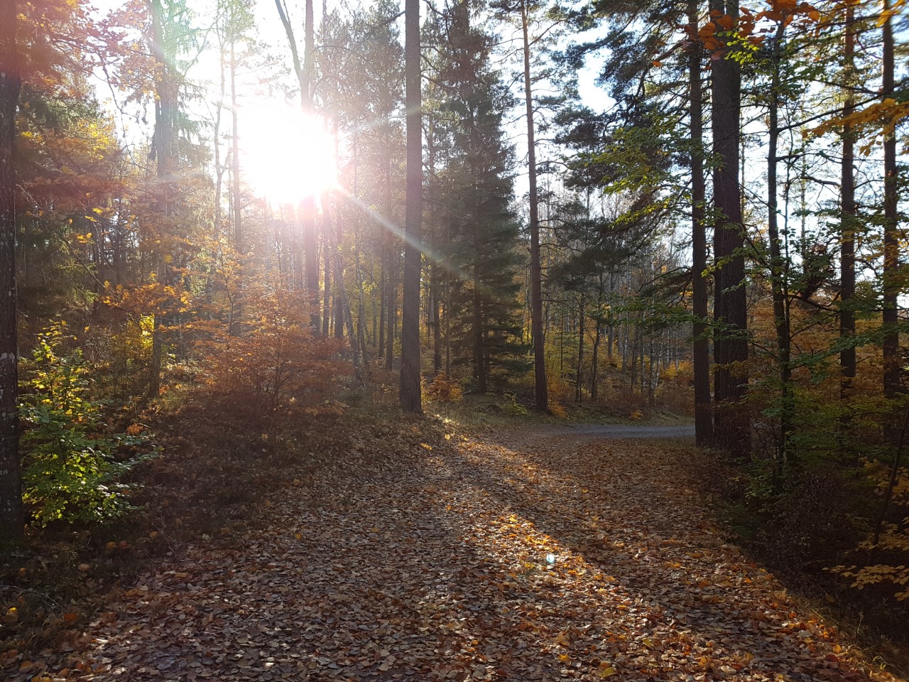 Outlet  Fynda bland utgående modeller