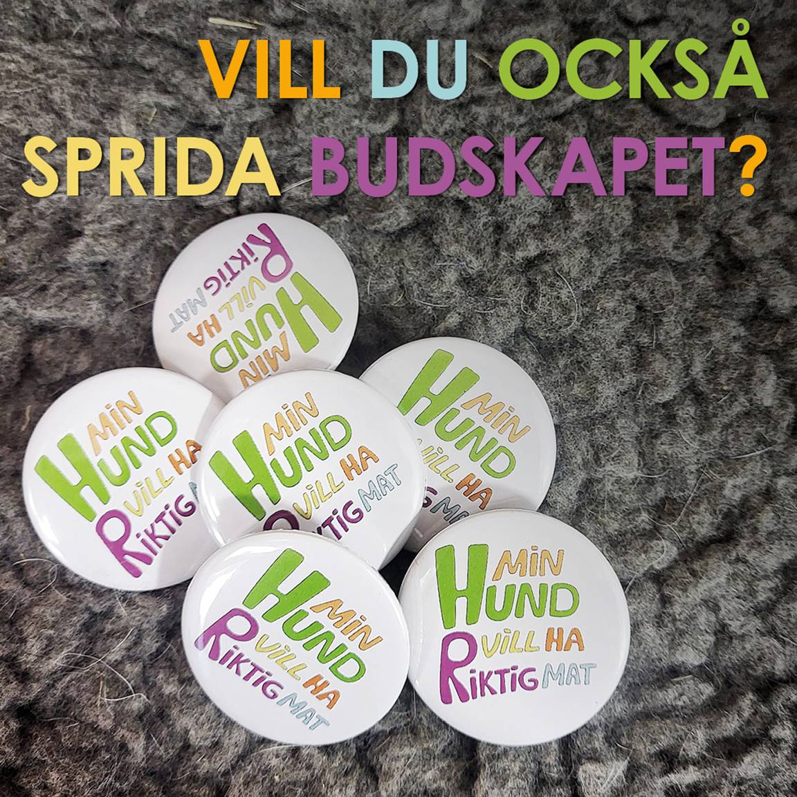 KNAPP - Min hund vill ha riktig mat