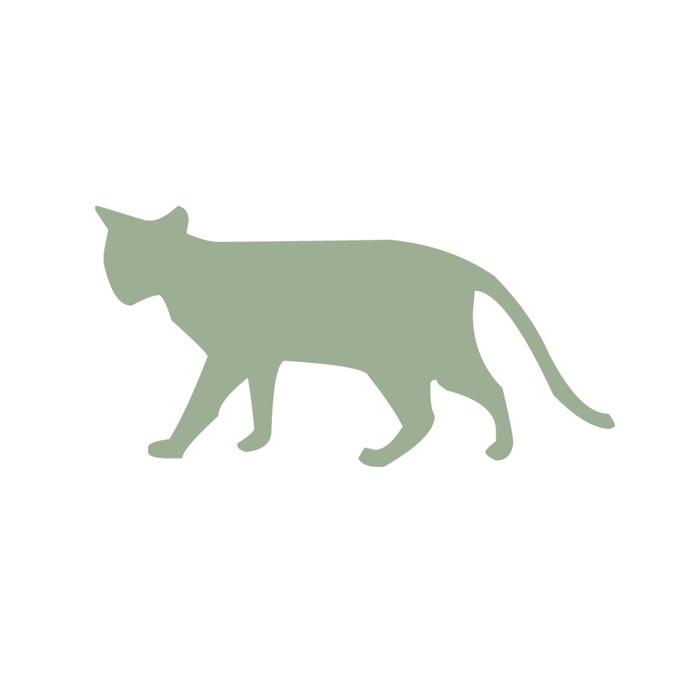 KATT