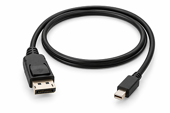 DisplayPort → Mini DisplayPort