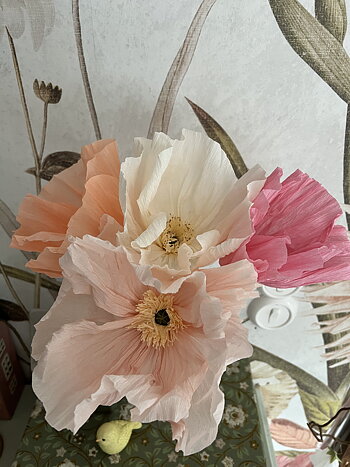 Poppy