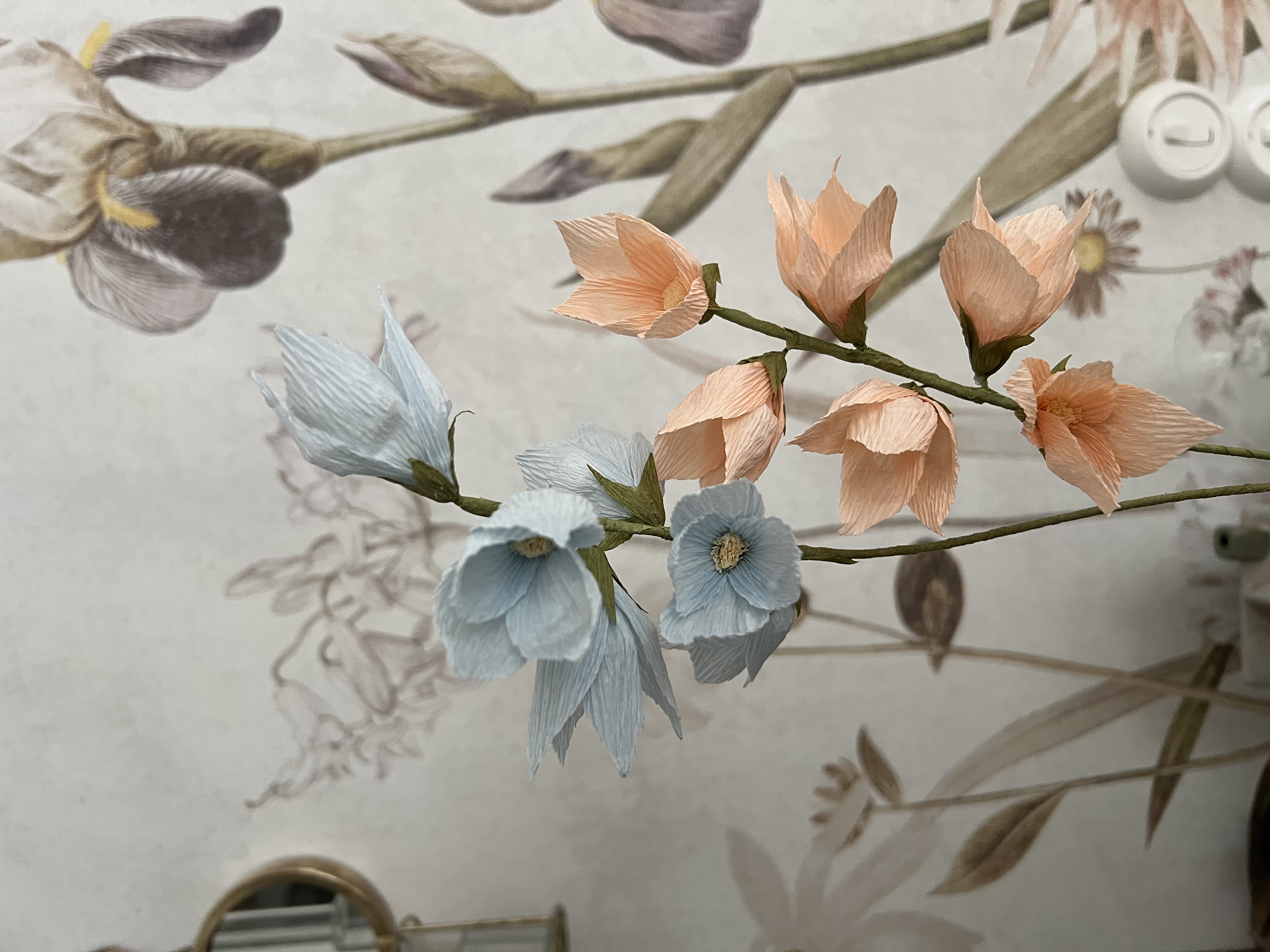 Kinoko's own flower
