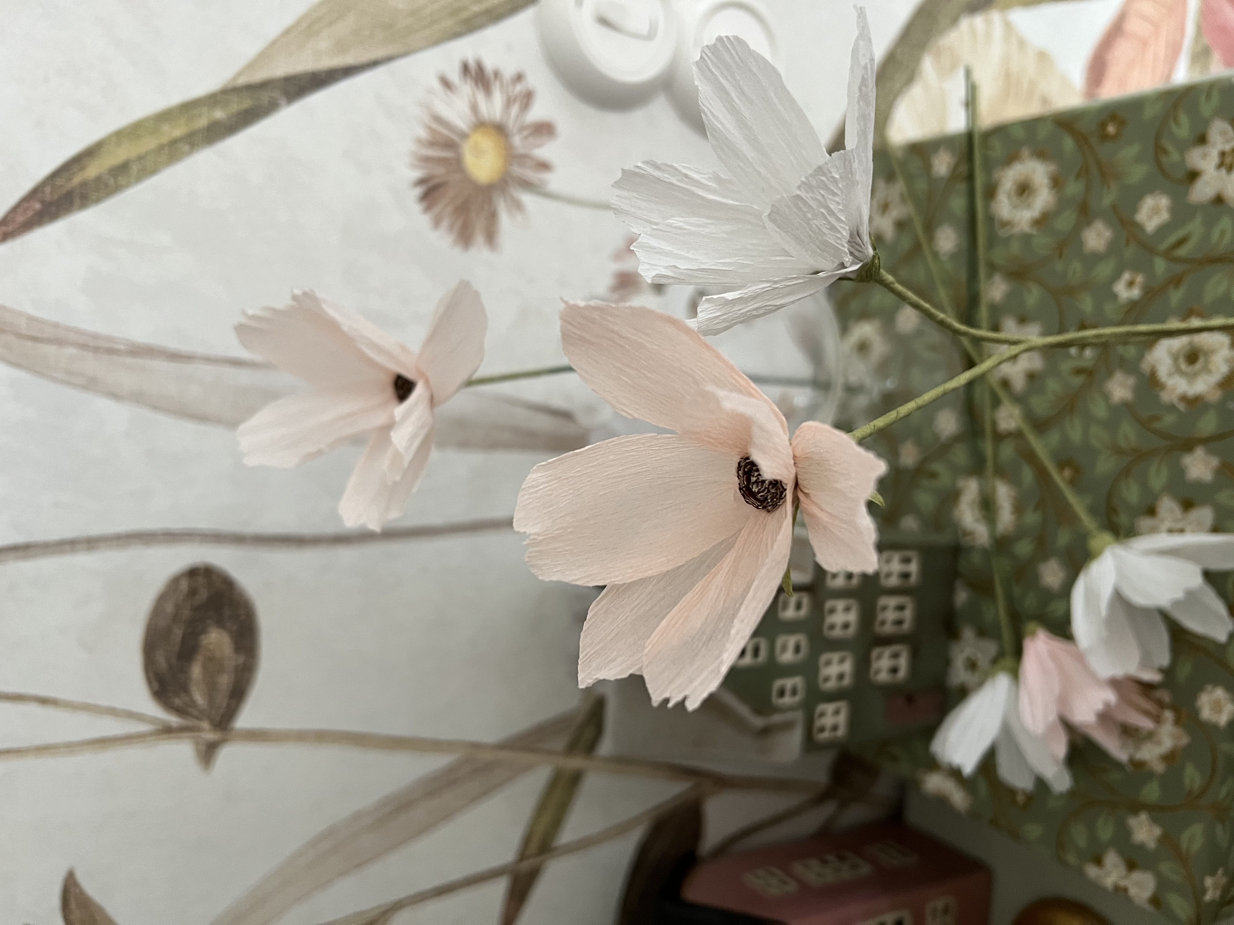 Cosmos