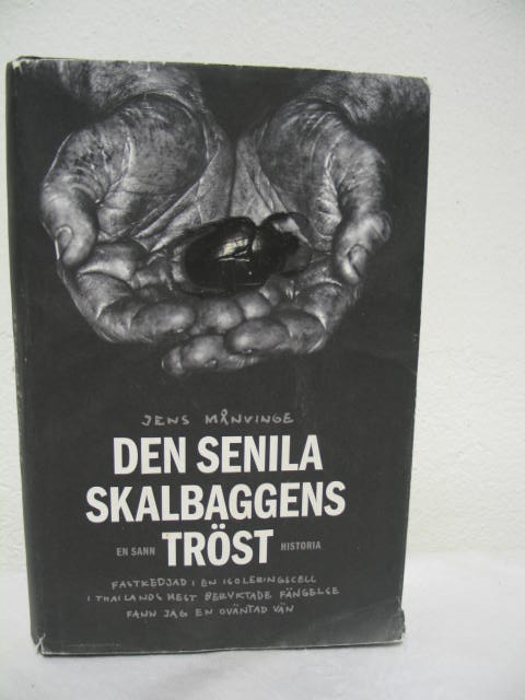 Den senila skalbaggens tröst