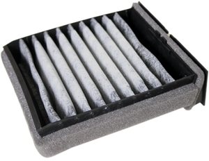 Fresh air filter carbon