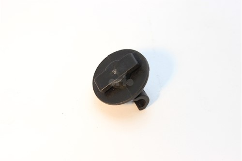 CLIPS