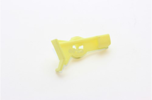 CLIPS