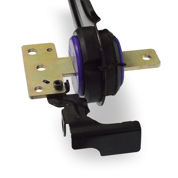 Rear Trailing Arm Bush (17) - 5