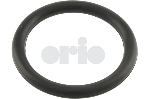 O-ring
