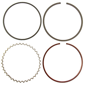 Piston ring (1)