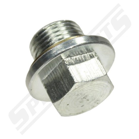 Oil drain plug and gasket - 2