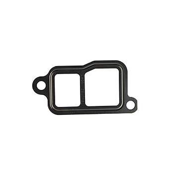 Thermostat gasket