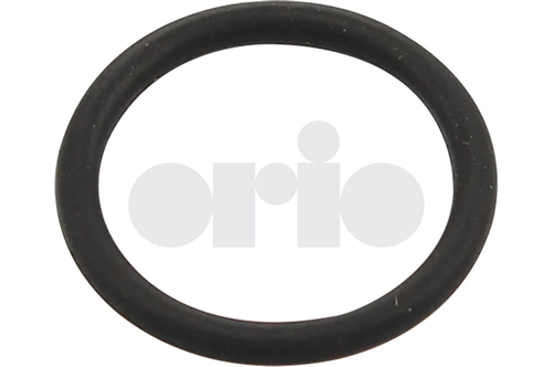 O-RING