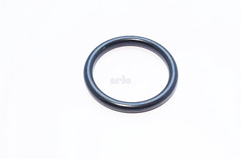 O-ring